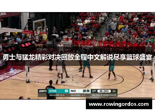 勇士与猛龙精彩对决回放全程中文解说尽享篮球盛宴