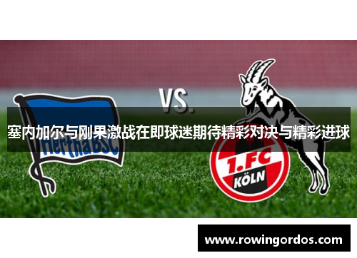 塞内加尔与刚果激战在即球迷期待精彩对决与精彩进球