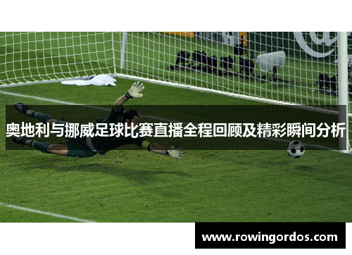 奥地利与挪威足球比赛直播全程回顾及精彩瞬间分析