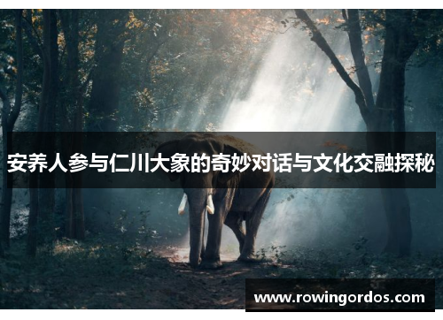 安养人参与仁川大象的奇妙对话与文化交融探秘