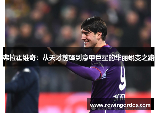 弗拉霍维奇：从天才前锋到意甲巨星的华丽蜕变之路