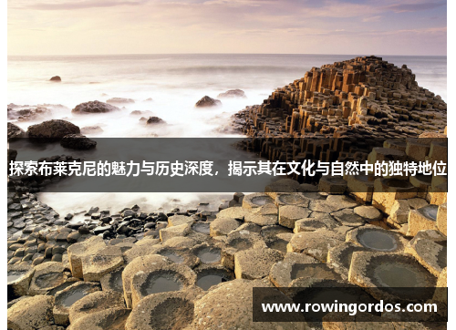 探索布莱克尼的魅力与历史深度，揭示其在文化与自然中的独特地位